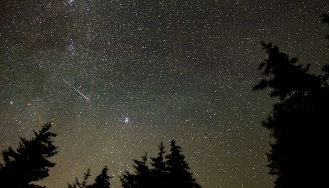 The Perseid Meteor Shower Might Be This Year’s Best