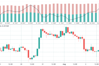 This key Bitcoin price indicator shows pro traders buying each dip