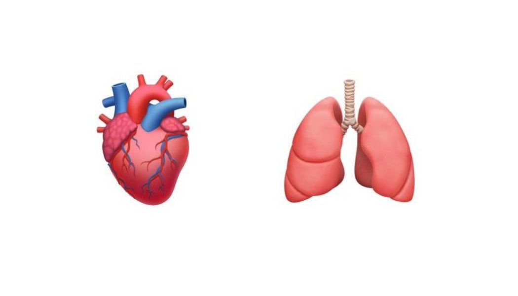 A doctor’s quest for more organ emoji