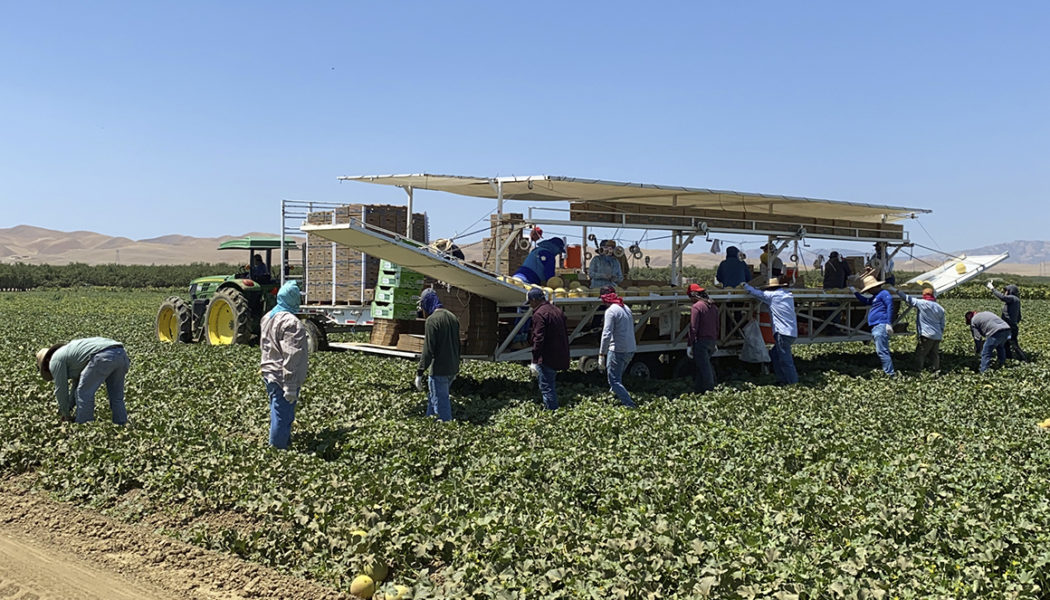 Biden administration to write workplace safety rule tackling heat stress