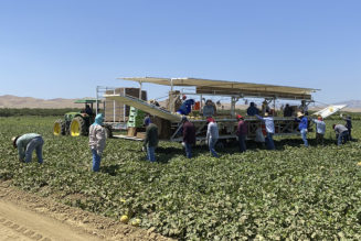 Biden administration to write workplace safety rule tackling heat stress