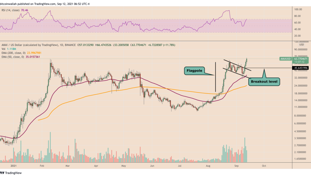 Bull flag breakout pushes Avalanche toward $80 as AVAX price hits another record high