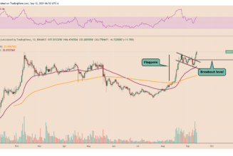 Bull flag breakout pushes Avalanche toward $80 as AVAX price hits another record high