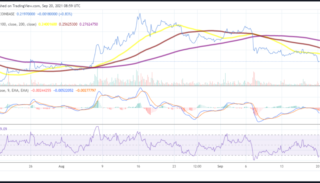 Dogecoin price analysis: DOGE loses 9%, drops to 10th largest coin