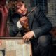 ‘Fantastic Beasts 3’ Now Has an Official Title