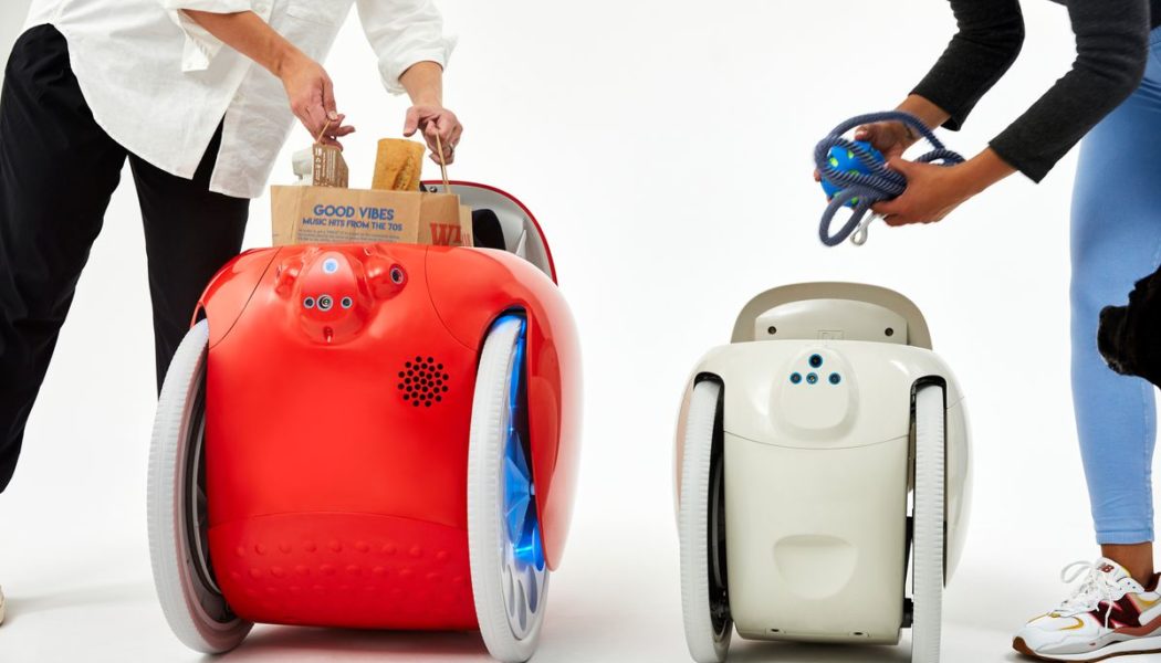 Gitamini is a cute, compact, cargo-carrying robot that will follow you around like a dog