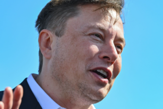 Governments shouldn’t try to slow down crypto: Elon Musk