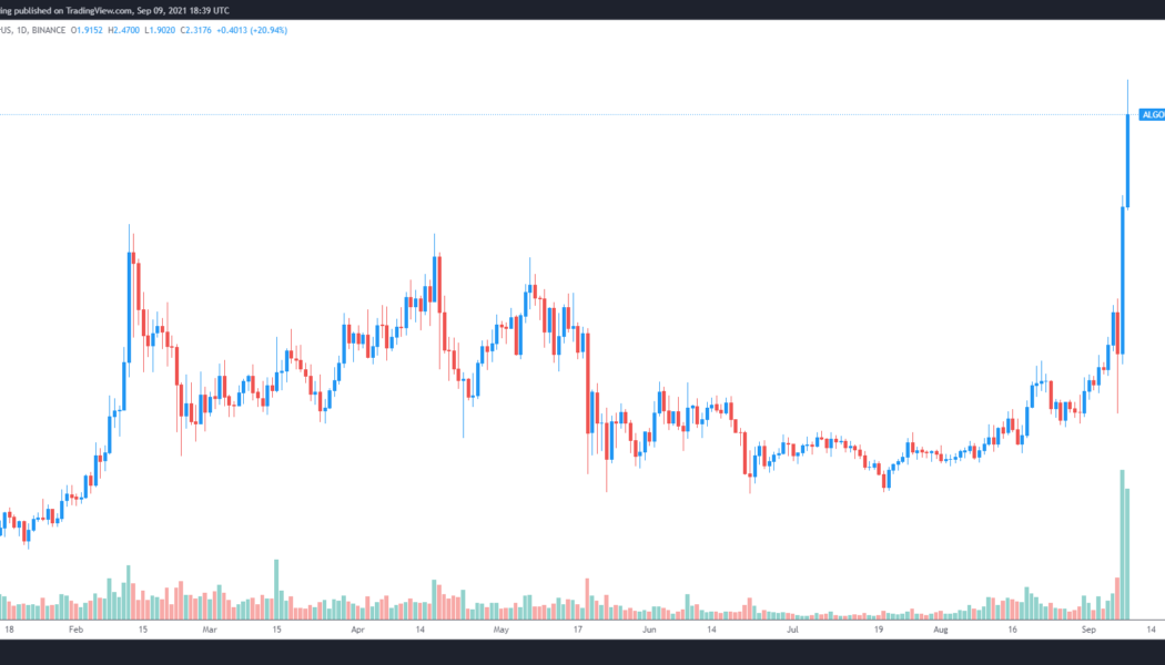 Here’s why Algorand’s price just rallied to a new multi-year high