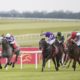 Irish Champions Weekend 2021 Betting Tips – Best Bets from Curragh