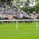 Lucky 15 Tips – Saturday’s 193/1 Lucky 15 from Newmarket & Curragh