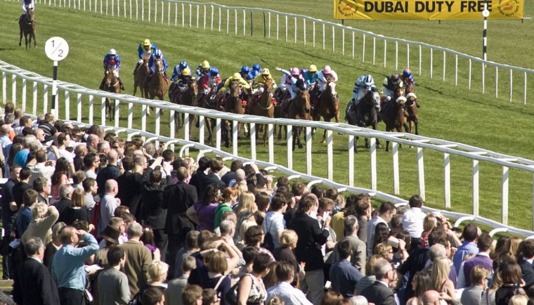 Lucky 15 Tips – Saturday’s 820/1 Lucky 15 from Newbury and Ayr