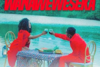 Rayvanny – Wanaweweseka