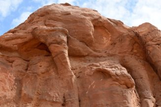 Researchers Have Uncovered Massive Camel Structures in Northwestern Saudi Arabia