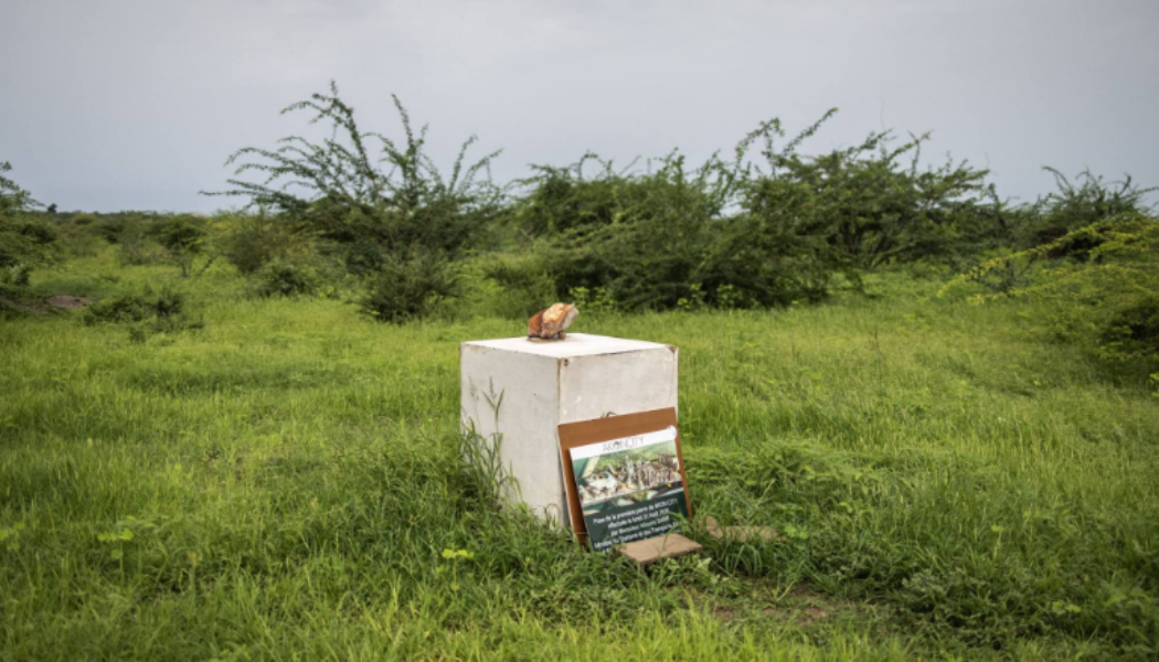 Senegalese locals left disillusioned by lack of progress on Akon City