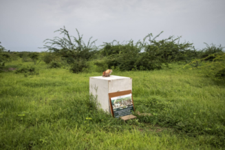 Senegalese locals left disillusioned by lack of progress on Akon City