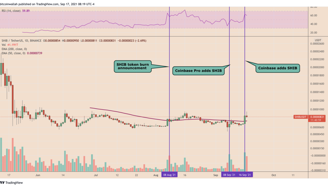 Shiba Inu (SHIB) jumps 40% on Elon Musk’s cryptic endorsement, Coinbase listing