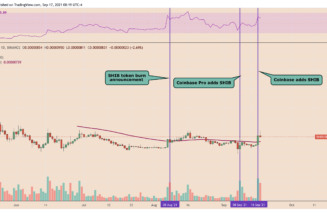 Shiba Inu (SHIB) jumps 40% on Elon Musk’s cryptic endorsement, Coinbase listing