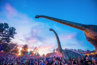 Shuttle Overturns at Lost Lands Music Festival, Injures 9