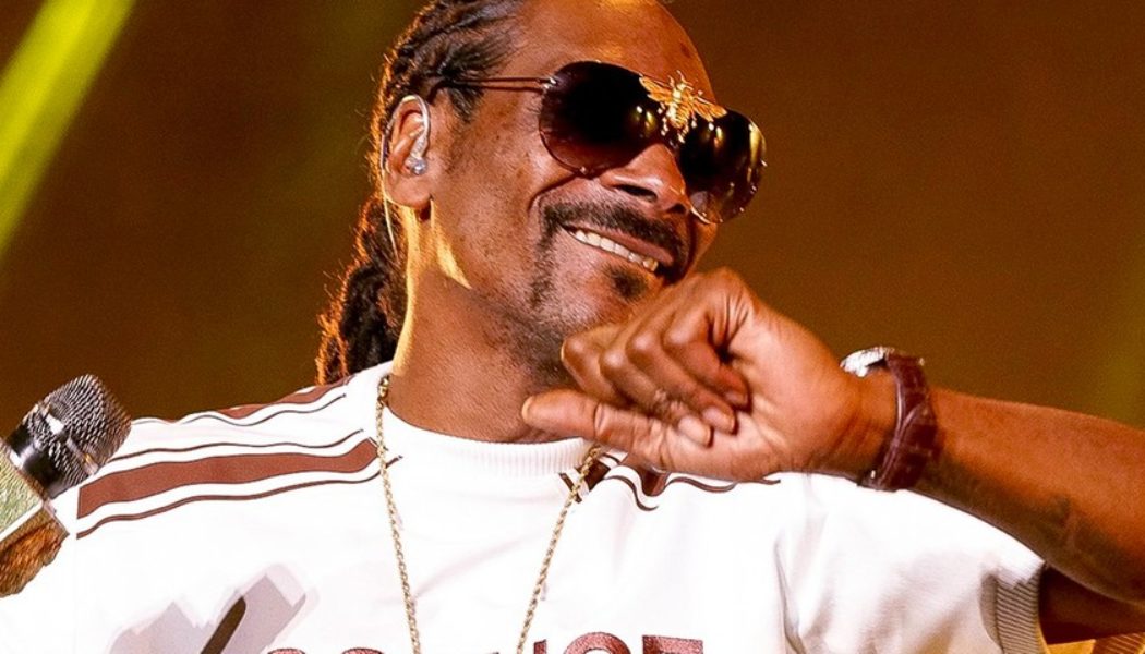 Snoop Dogg Claims He Runs a Popular NFT Twitter Account