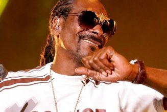 Snoop Dogg Claims He Runs a Popular NFT Twitter Account