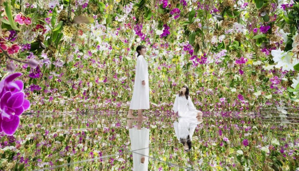 Step Into teamlab’s Interactive Garden Installation