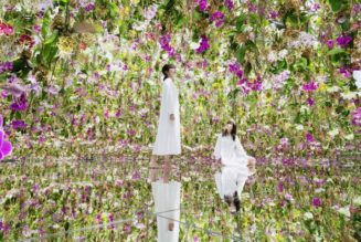 Step Into teamlab’s Interactive Garden Installation