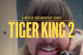 Tiger King season 2 premieres November 17th