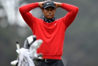 Tiger Woods Is Recovering From Injuries, According to Ryder Cup’s Steve Stricker