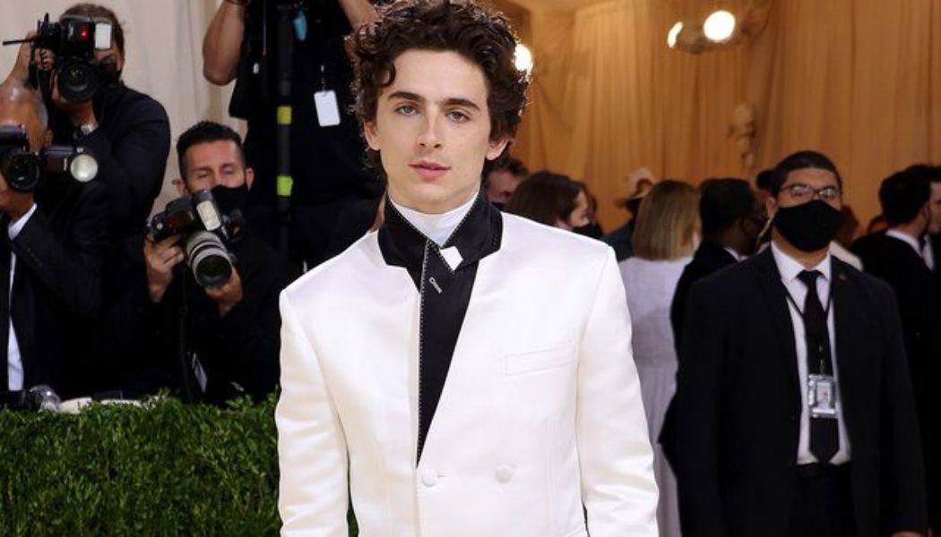 Timothée Chalamet Wore Sweats With Converse to the Met Gala, and I’m Screaming