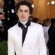 Timothée Chalamet Wore Sweats With Converse to the Met Gala, and I’m Screaming