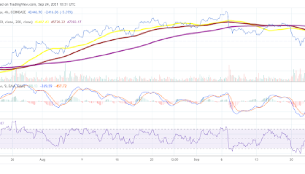 Weekly analysis: Bitcoin and Dash are red again, Tezos rallies