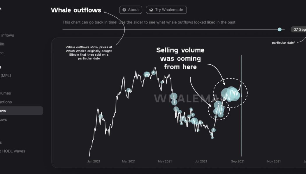 ‘Who was selling? Not HODLers’ — New data hints at Bitcoin crash ‘culprit’ amid leverage wipe-out