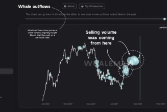 ‘Who was selling? Not HODLers’ — New data hints at Bitcoin crash ‘culprit’ amid leverage wipe-out