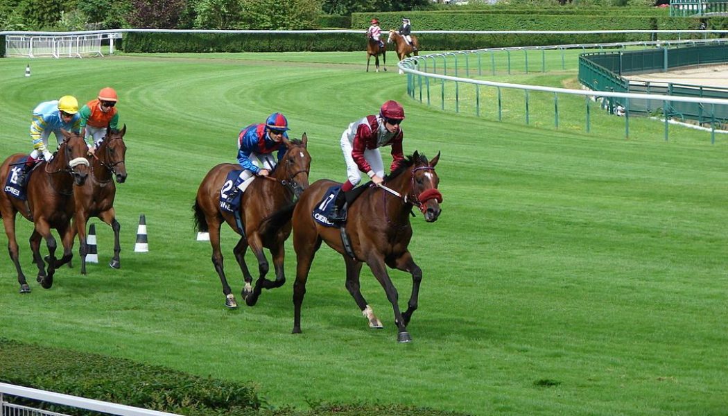 Arc Betting Tips – Sunday Selections, Preview & Predictions from Day 2 of Arc Weekend