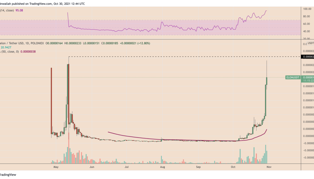 Elon Musk-named meme token ‘Dogelon Mars’ gains nearly 4000% in October