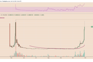 Elon Musk-named meme token ‘Dogelon Mars’ gains nearly 4000% in October