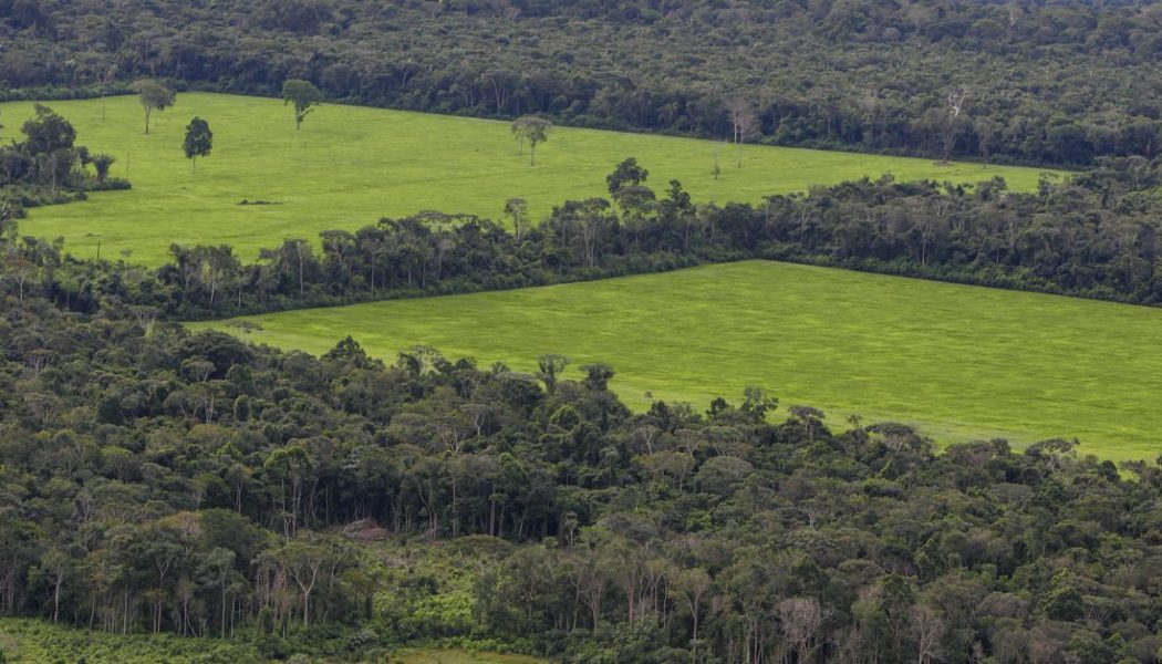 Facebook is trying to stop the sale of Amazon rainforest land on its Marketplace