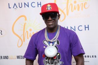 Flavor Flav Arrested for Alleged Domestic Violence