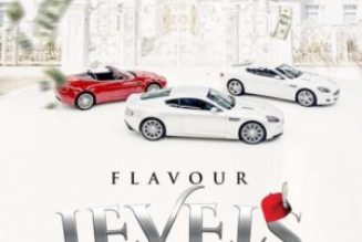 Flavour – Levels