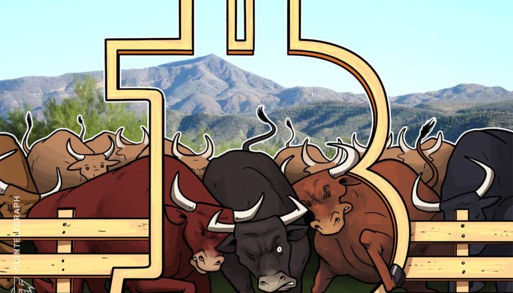 Long-term Bitcoin bulls hodl strong despite five-month price high