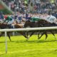 Lucky 15 Tips – Saturday’s 338/1 Lucky 15 from Newmarket, York & Chepstow