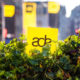 More Than 250 ADE Festival Events Confirmed For 2021 Edition