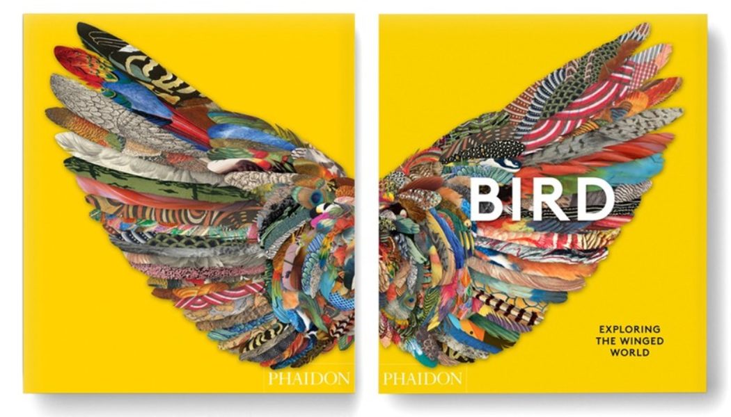 Phaidon to Chronicle the Cultural History of Birds in a New Art Book