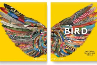 Phaidon to Chronicle the Cultural History of Birds in a New Art Book