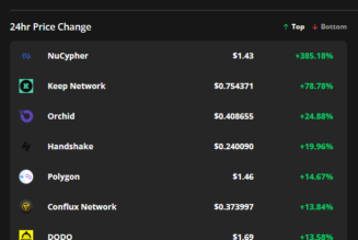 Privacy-focused altcoins soar after Bitcoin’s ETF news sparks a market-wide rally