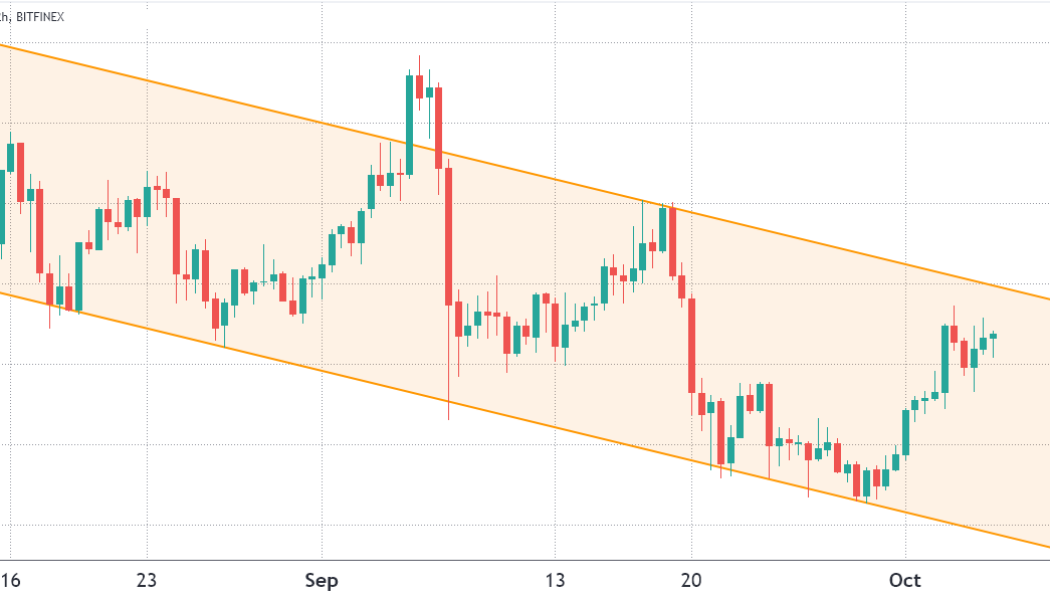 Pro traders cut their EOS longs, but retail FOMO and $50K+ BTC could tip the scale