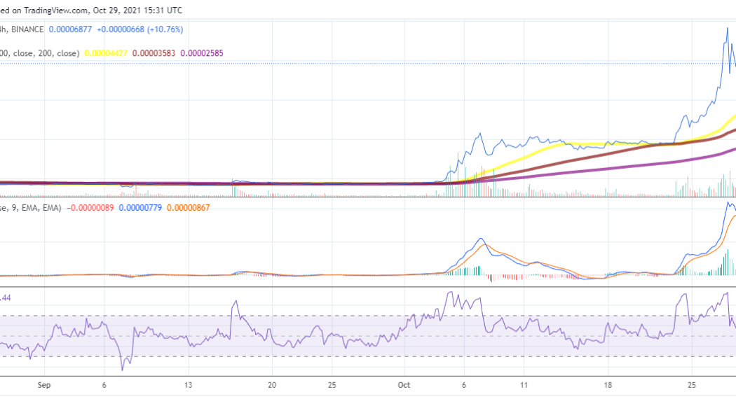 Shiba Inu price analysis: SHIB stays above $0.00007