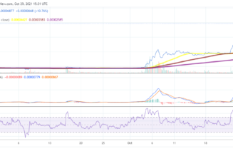 Shiba Inu price analysis: SHIB stays above $0.00007