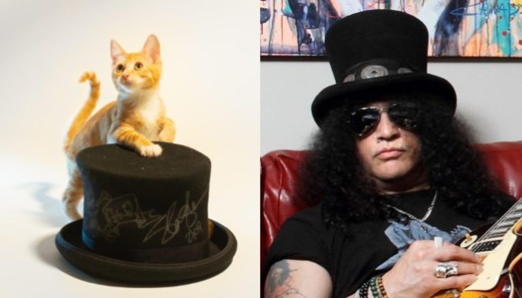 SLASH’s Autographed Top Hat Among Items Being Auctioned For KITTEN RESCUE