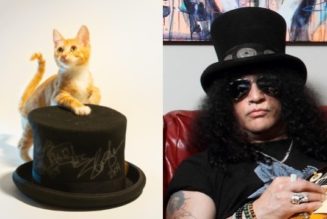 SLASH’s Autographed Top Hat Among Items Being Auctioned For KITTEN RESCUE